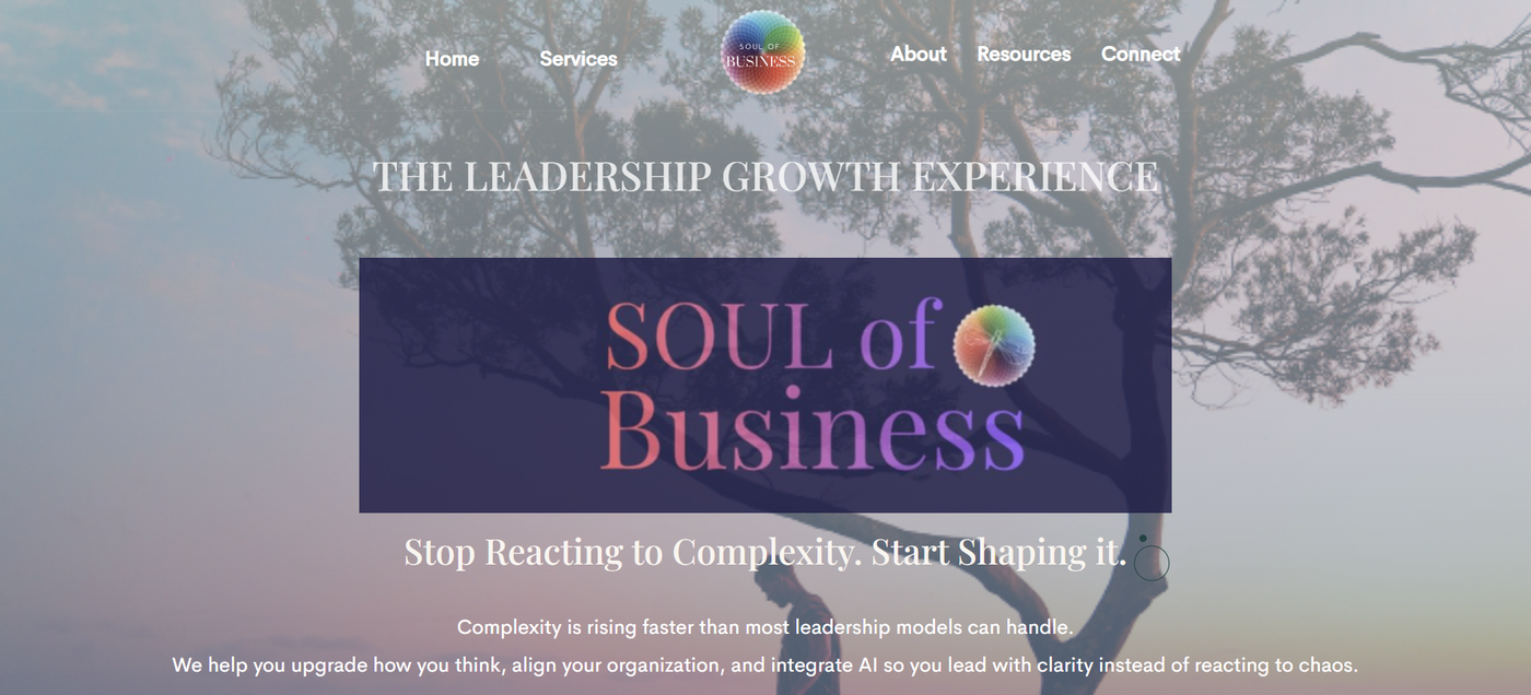 Soul of Business live site